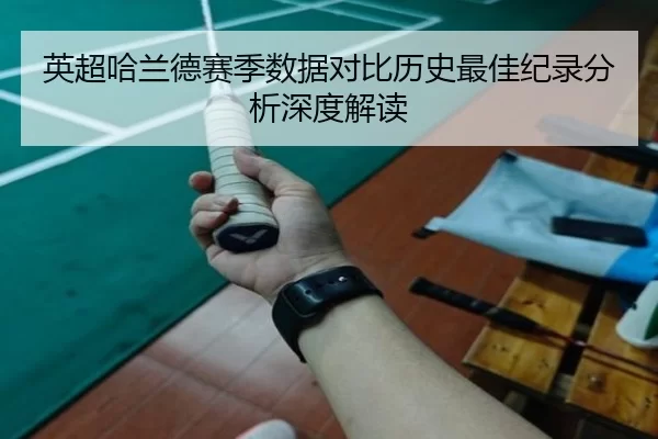 英超哈兰德赛季数据对比历史最佳纪录分析深度解读